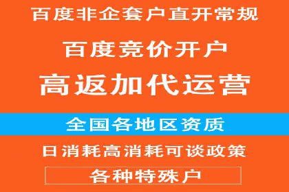 百度竞价代理实战：案例剖析与优化策略